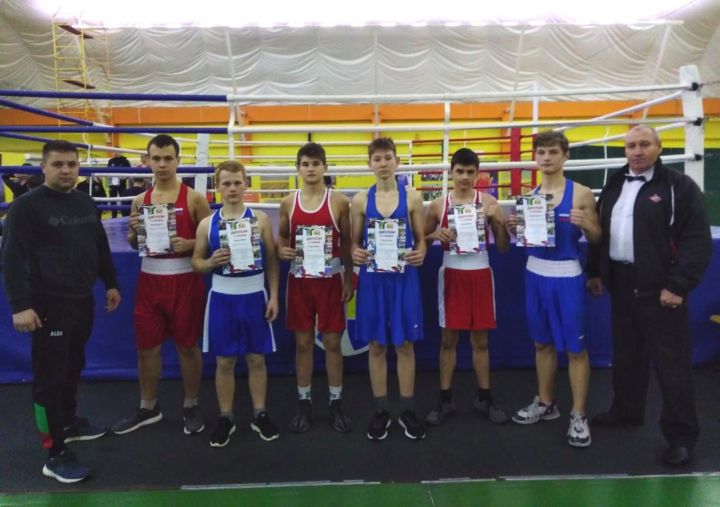 В г. Нижнекамск прошли Чемпионат и первенство города по боксу
