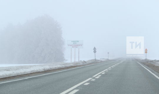Татарстанцев предупредили об ухудшении видимости из-за тумана