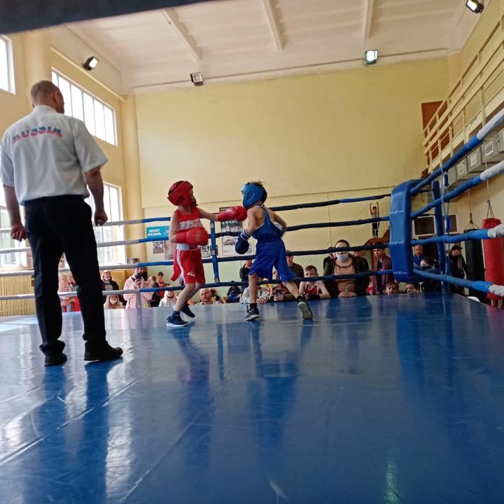 В Камских Полянах состоялось первенство Нижнекамского муниципального района по боксу