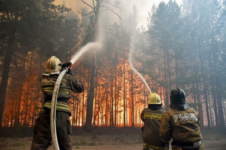 Камполянцы, угроза лесных пожаров