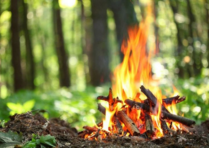Госкомитет РТ по биоресурсам напоминает о необходимости соблюдать правила пожарной безопасности на природе