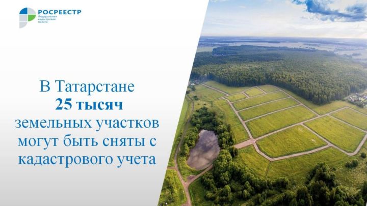 25 тысяч земельных участков в Татарстане могут быть сняты с кадастрового учета