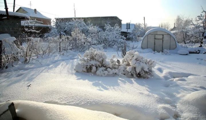 Проблемы есть в огороде от избытка снега