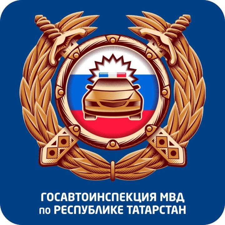 В Татарстане автоинспекторы задержали мужчину, который препятствовал погрузке автомобиля на эвакуатор