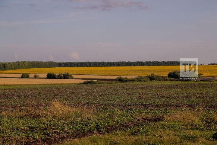 Росреестр Татарстана усилил контроль за землями сельскохозяйственного назначения