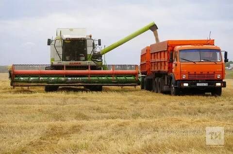 Аграрии Татарстана собрали рекордный урожай – более 5,2 млн тонн зерна