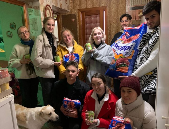 Свияжская уха и помощь приюту для животных: как проводят выходные студотряды Татарстана