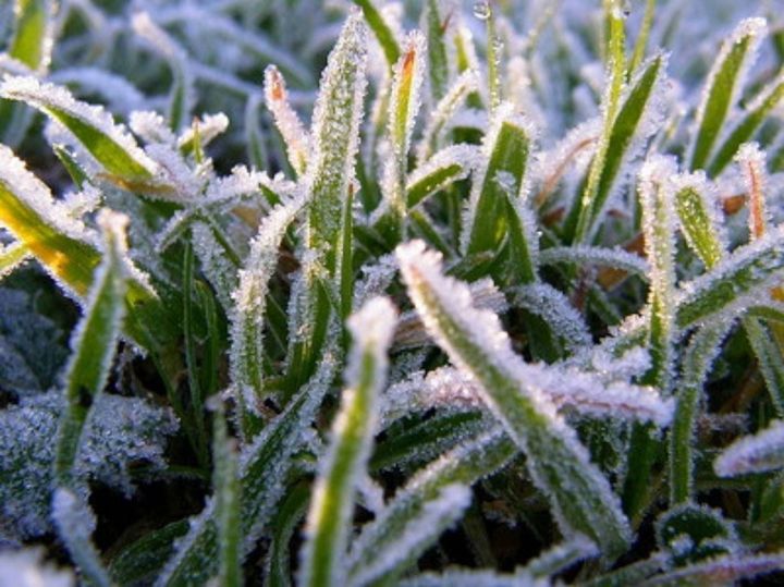 Гидрометцентр Татарстана объявил штормовое предупреждение о заморозках