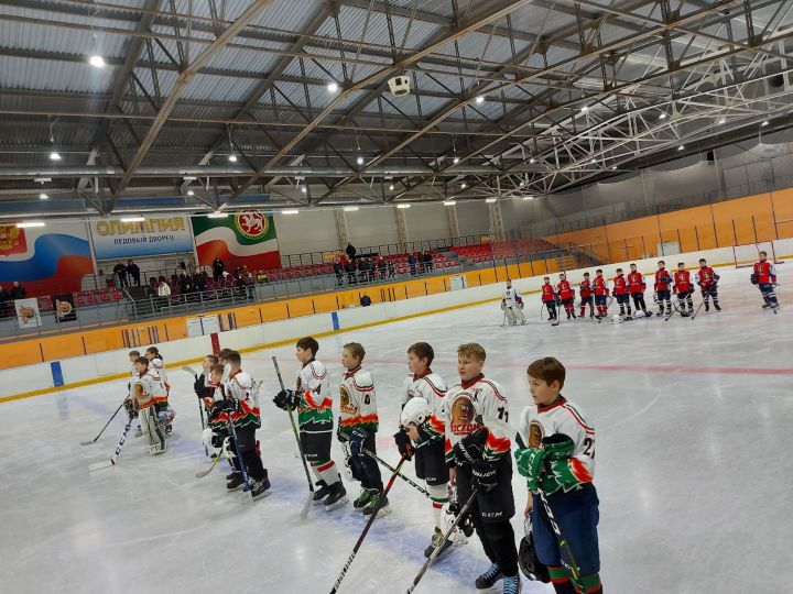 В ледовом дворце «Олимпия» прошло Первенство РТ по хоккею среди команд младших юношей 2011 г.р.