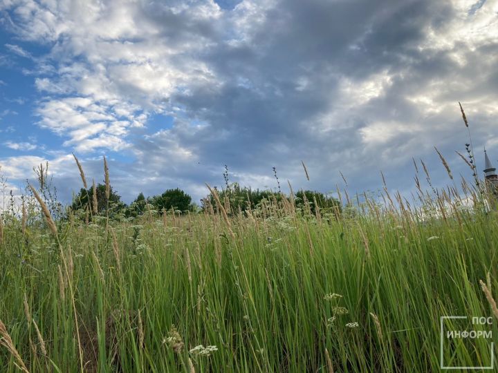 «Дождей и жары ждать не приходится»: в Татарстане атмосферная засуха