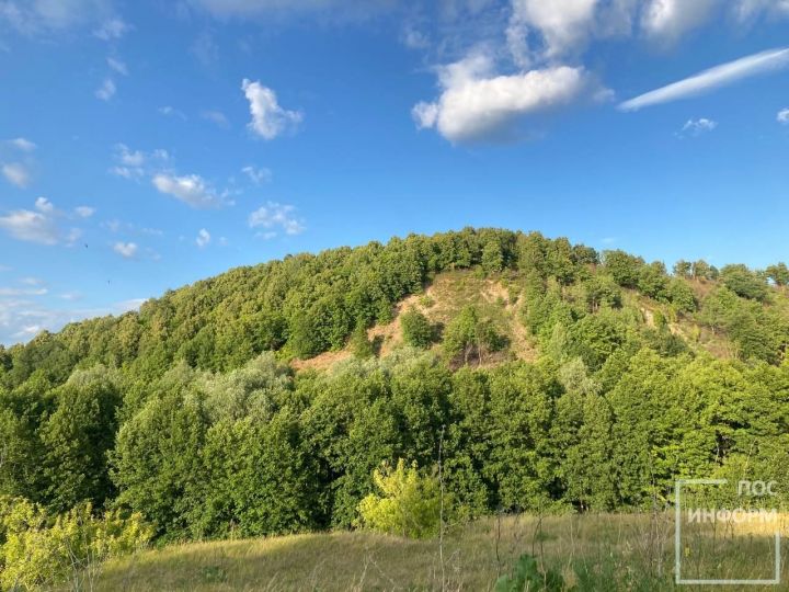 Жаркая погода угрожает здоровью человека