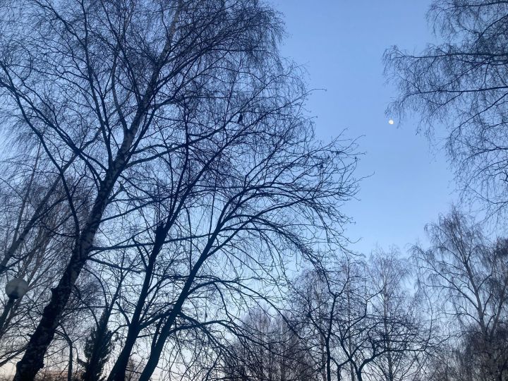 В ночь с 13 на 14 марта жители Татарстана смогут увидеть Юпитер