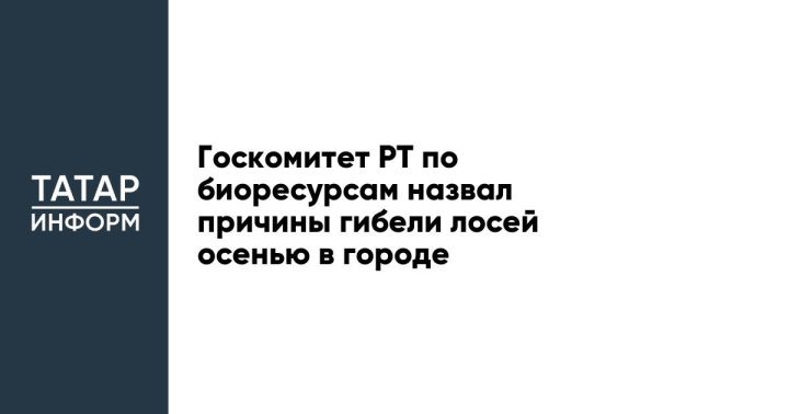 Госкомитет РТ по биоресурсам назвал причины гибели лосей осенью в городе