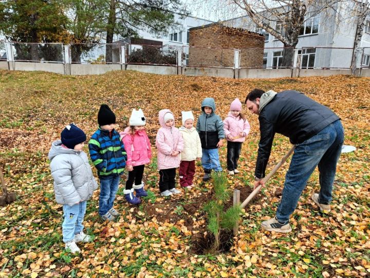 Осенняя неделя добра: родители и дети детского сада «Огонёк» подарили природе новую жизнь