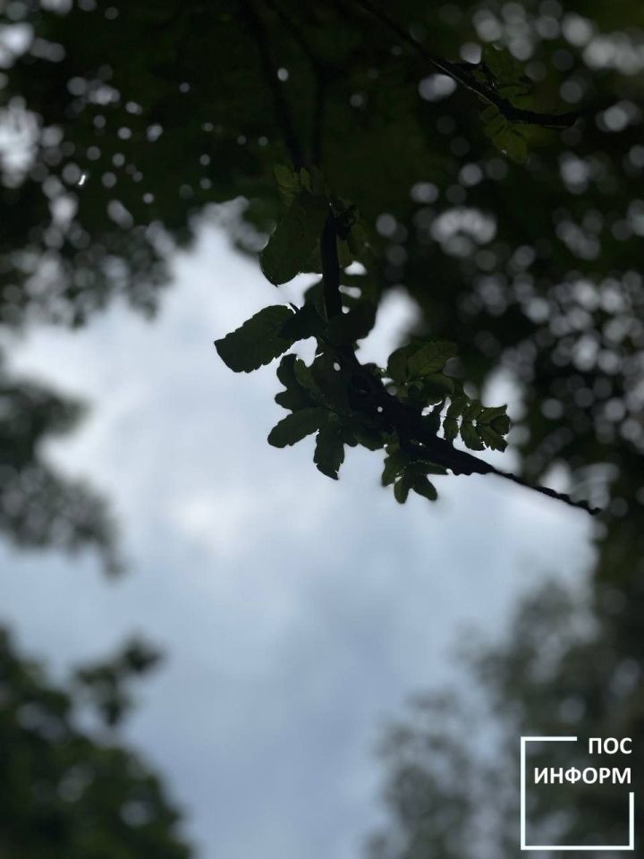 Творчество жительницы Камских Полян Светланы Бадретдиновой