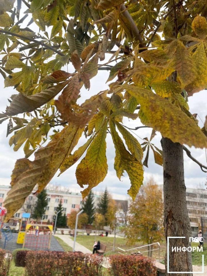 Михайлов день 21 ноября 2025: народные приметы, традиции и строгие запреты