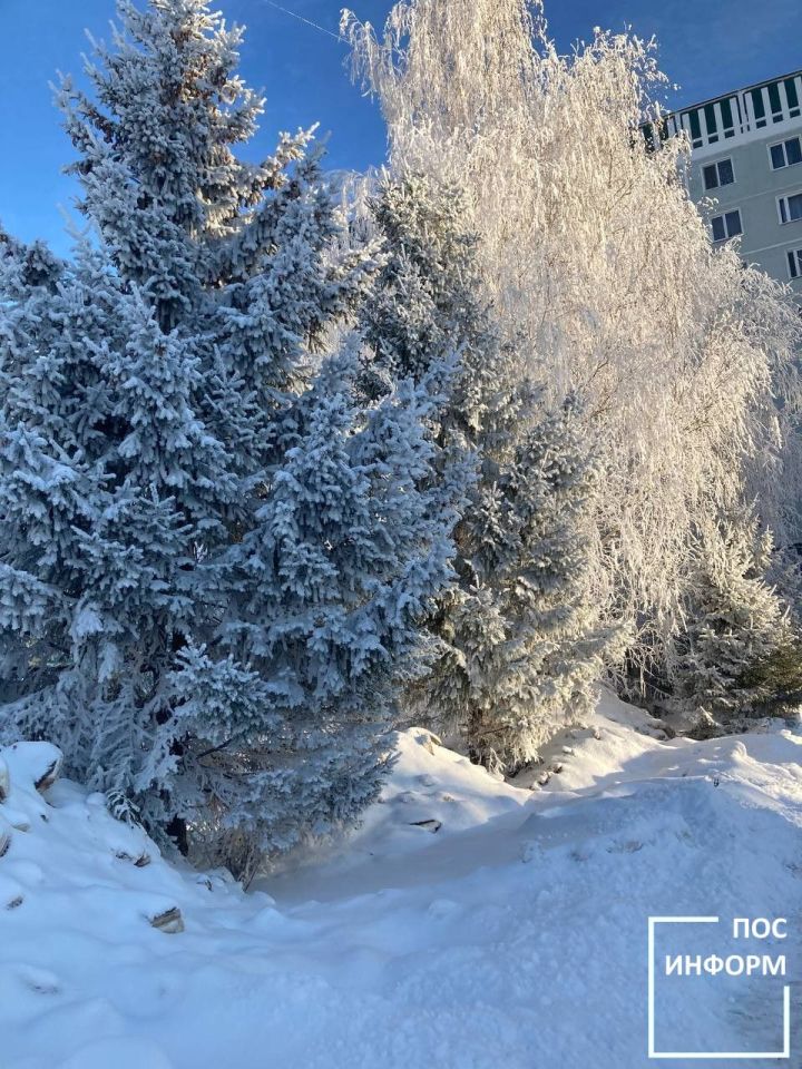 Творчество жительницы Камских Полян Светланы Бадретдиновой