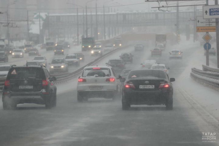 С 1 января 2026 года доступ к части выписок из реестра транспортных средств станет платным