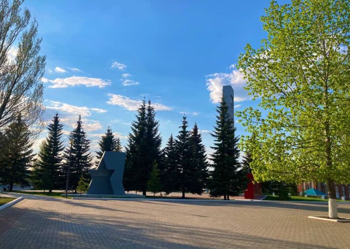 Варенье и носки… приносят наши камполянские пенсионеры