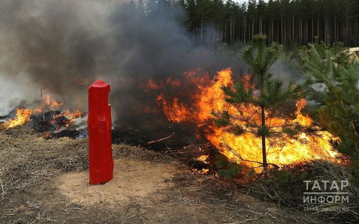 В Татарстане с 21 апреля вводится особый противопожарный режим