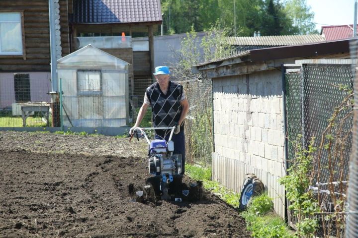 Апрель в саду и огороде: главные работы месяца от специалиста