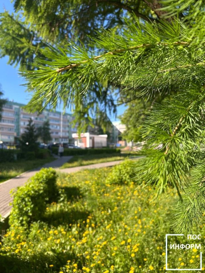 Народные приметы на 16 мая: Мавра Рассадница, Молочница, Зеленые щи
