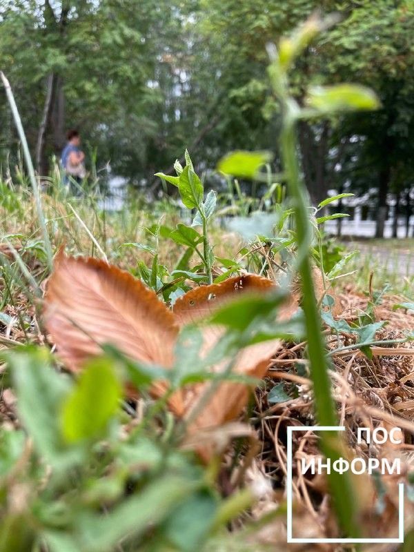 Творчество жительницы Камских Полян Светланы Бадретдиновой