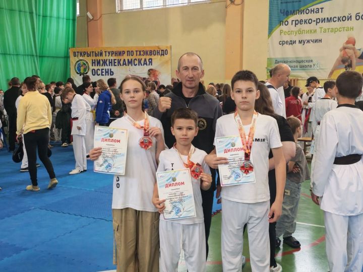Юные тхэквондисты Камских Полян привезли 26 медалей с турнира