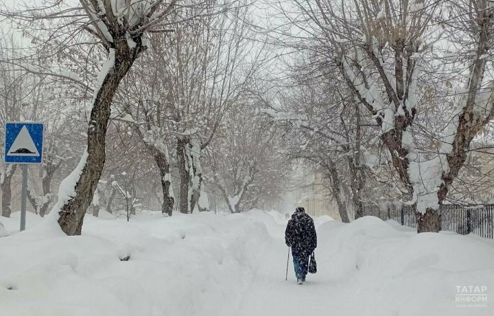 Жителей Татарстана предупредили о сильном ветре в ближайшие сутки