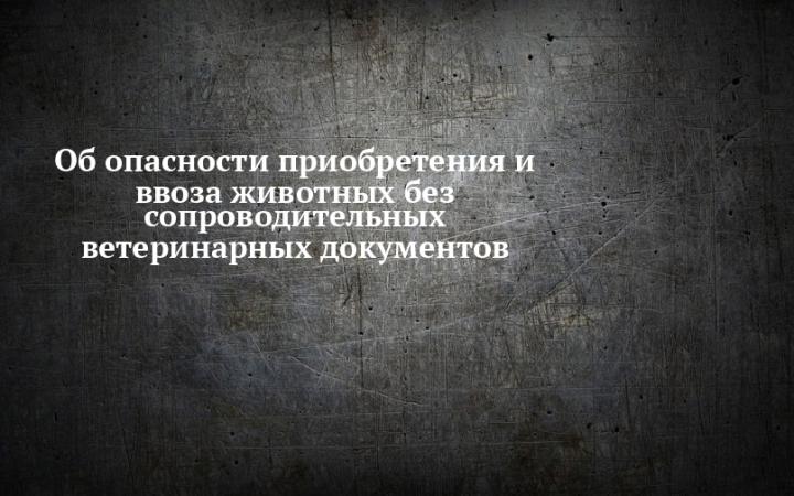 Опасно приобретать и ввозить животных без ветеринарных документов