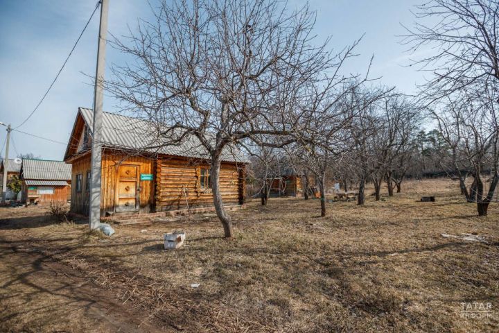 Юрист объяснила, в каких случаях рубка деревьев на даче может повлечь уголовную ответственность