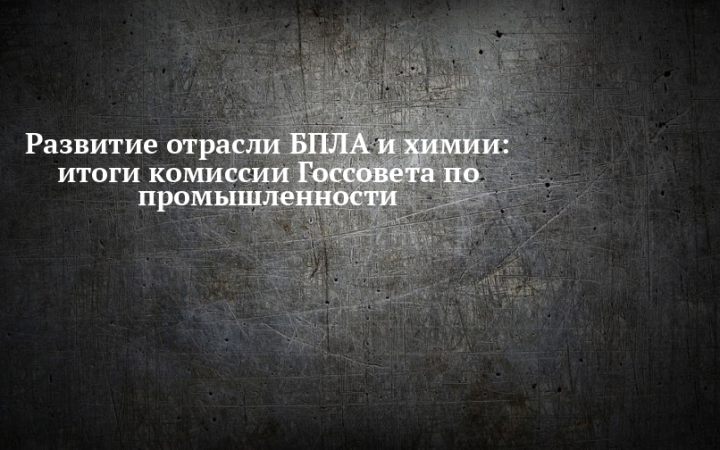 Развитие отрасли БПЛА и химии обсудили на комиссии Госсовета  по промышленности с Вячеславом Федорищевым и Антоном Алихановым