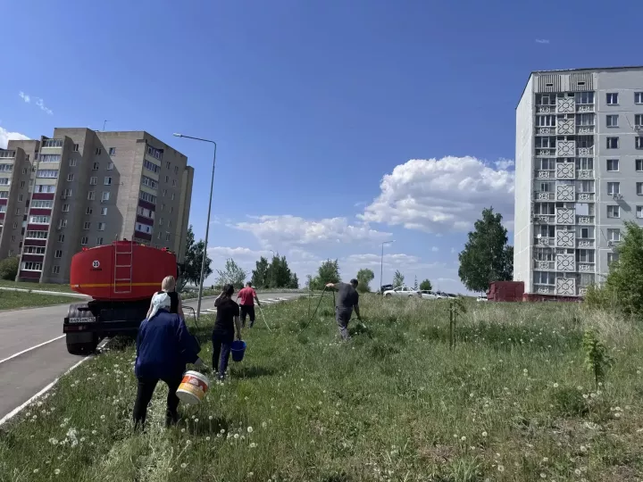 В Камских Полянах жители и трудовые коллективы приняли участие в акции по поливу саженцев