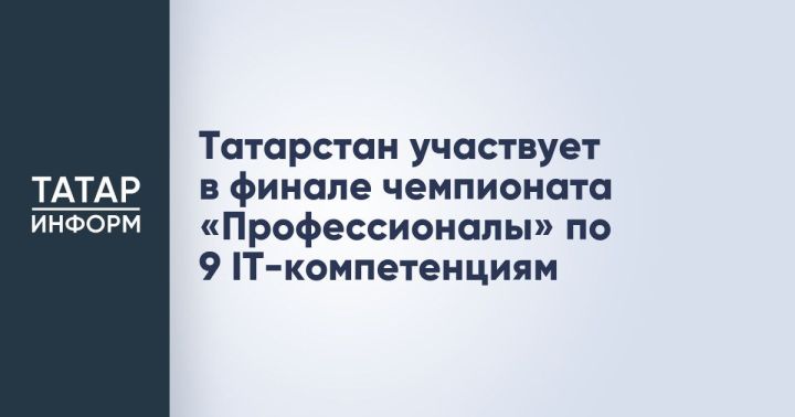Татарстан участвует в финале чемпионата «Профессионалы» в девяти IT-дисциплинах