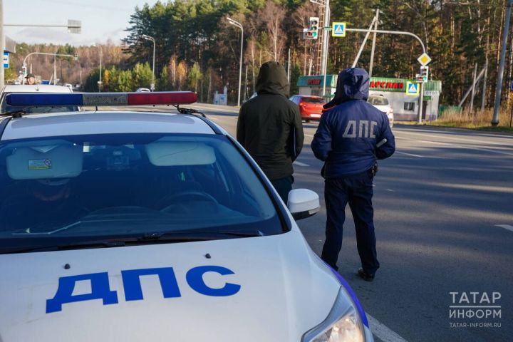 В случае ДТП с участием животного необходимо незамедлительно вызывать ГИБДД
