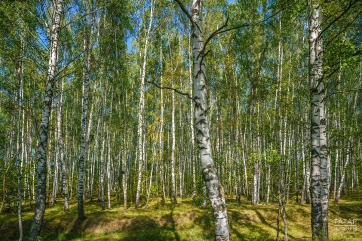 Сделайте себе сегодня необычную экскурсию по городу