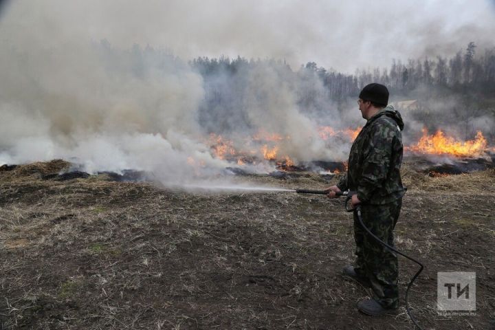 С начала года в Татарстане ликвидировали 224 пожара у границ лесного фонда