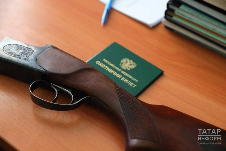 В Татарстане открыли охоту на бурого медведя