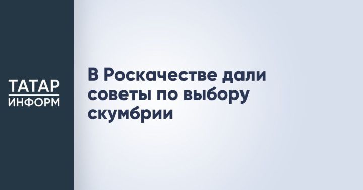 Роскачество дало рекомендации по выбору скумбрии