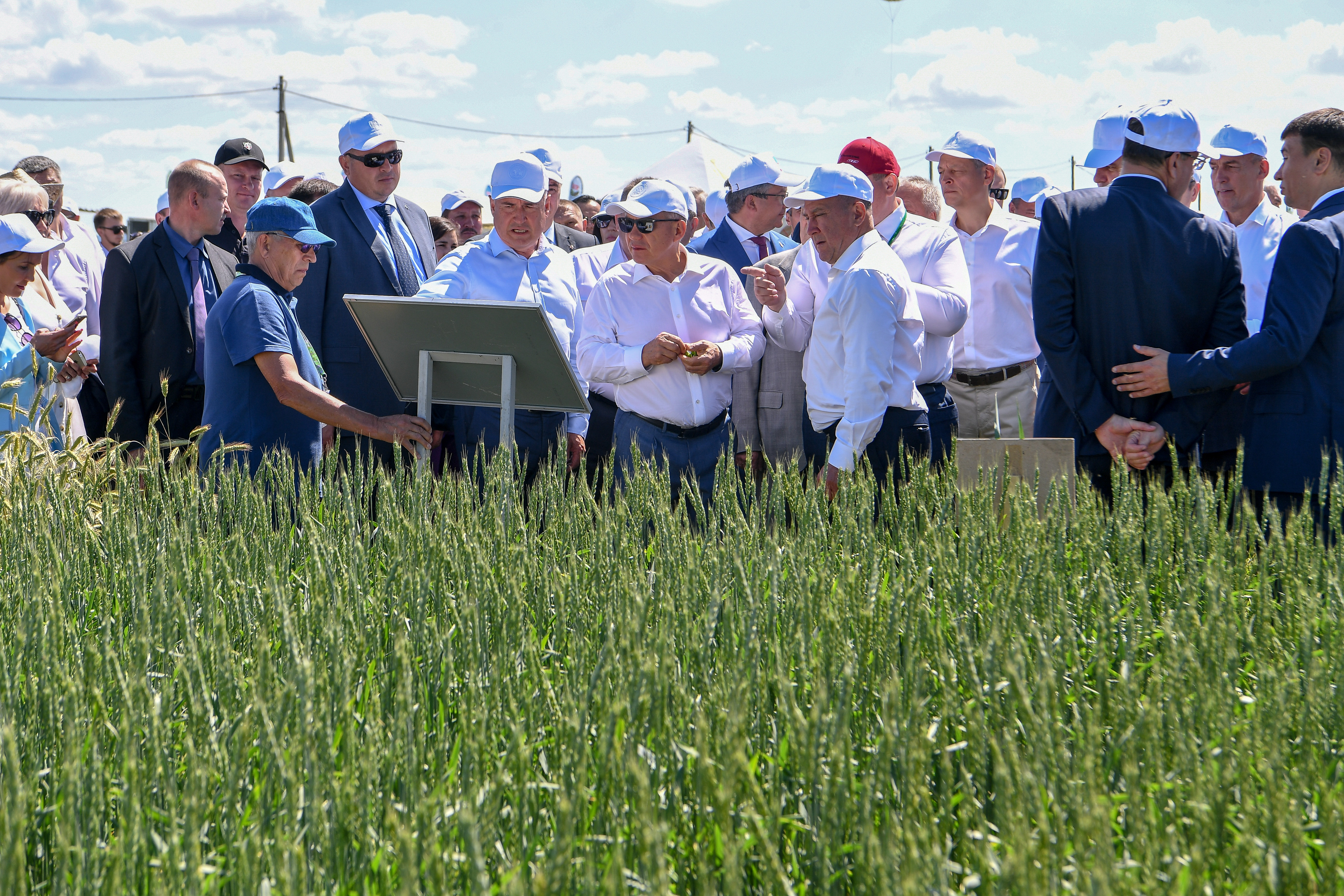 Сельского хозяйства и продовольствия республики. Республика Татарстан сельское хозяйство. Сельскохозяйственные культуры в Республике Татарстан. Аграрный сектор Татарстана. День поля Татарстан.