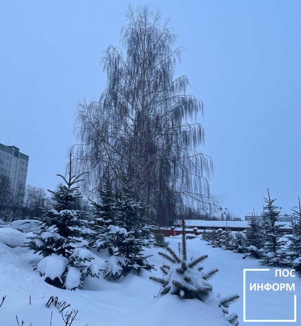 Теплая и снежная зима