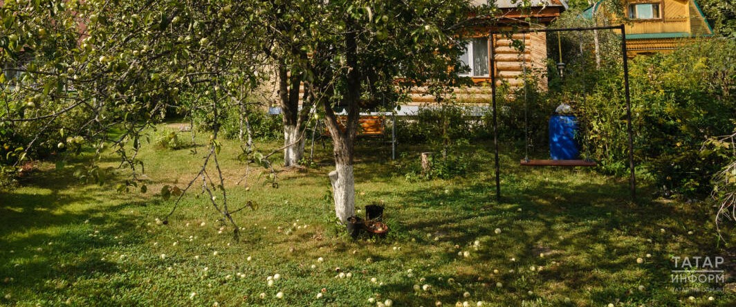 Модлодые деревья с тонкой корой