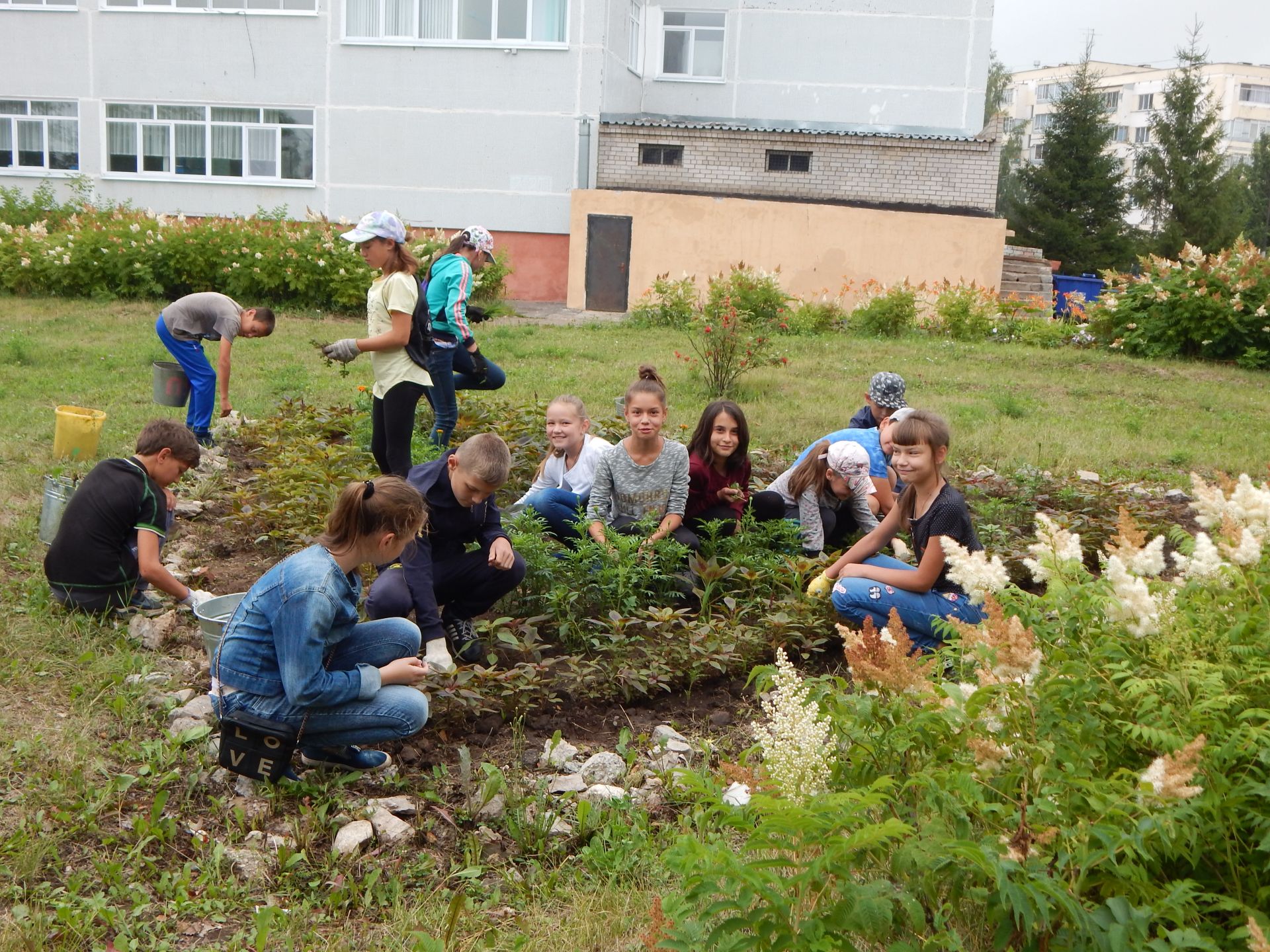 Летняя практика в школе картинки