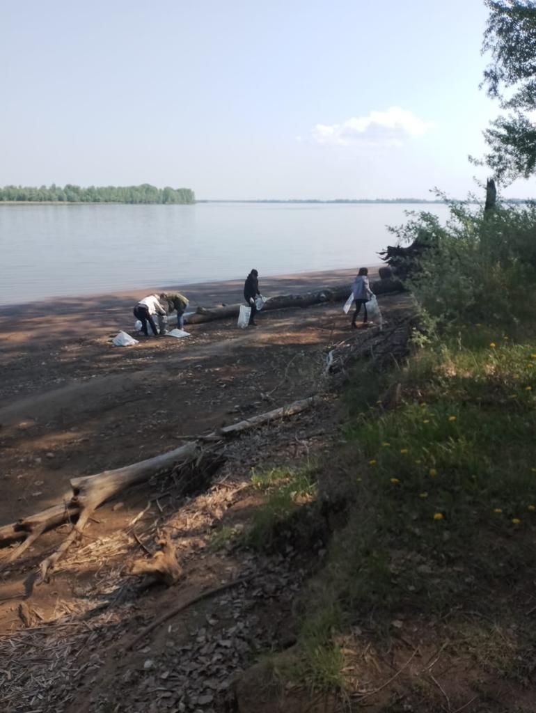 Чистый берег - чистая вода: Активисты организаций Камских Полян очистили от мусора берег реки Кама