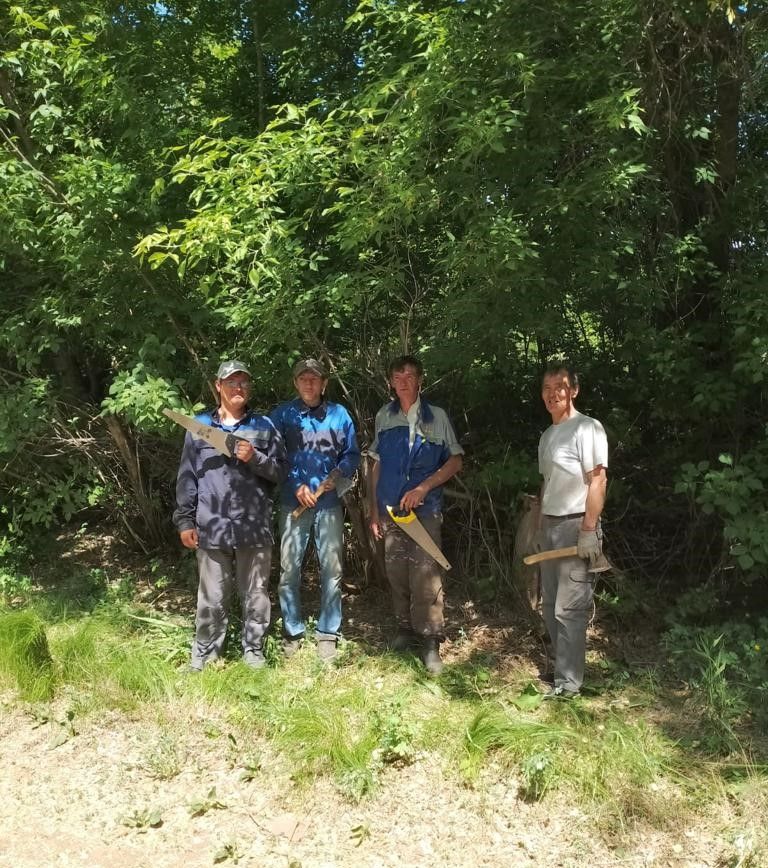 Сотрудники камполянских организаций произвели расчистку дорожной полосы