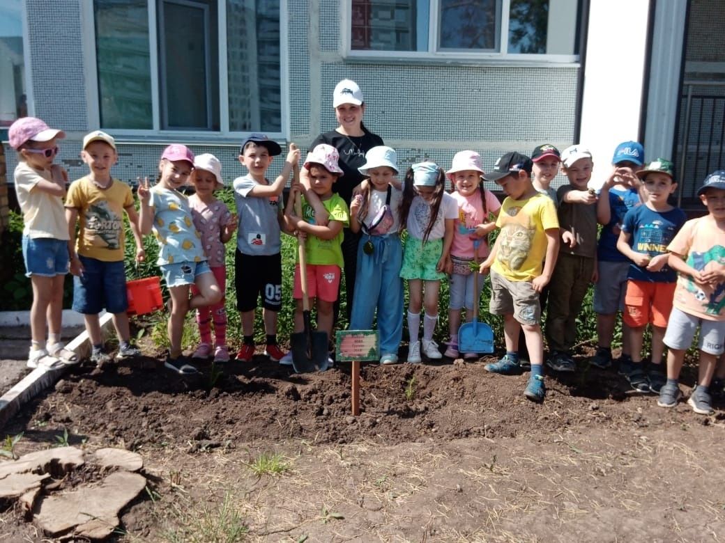 Выпускники детского сада «Огонек» посадили молодые деревья