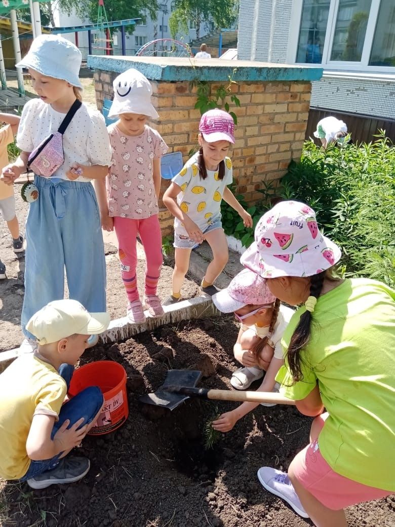 Выпускники детского сада «Огонек» посадили молодые деревья