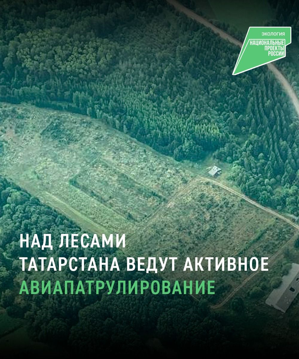 С начала пожароопасного сезона в лесах Татарстана провели 30 авиапатрулирований