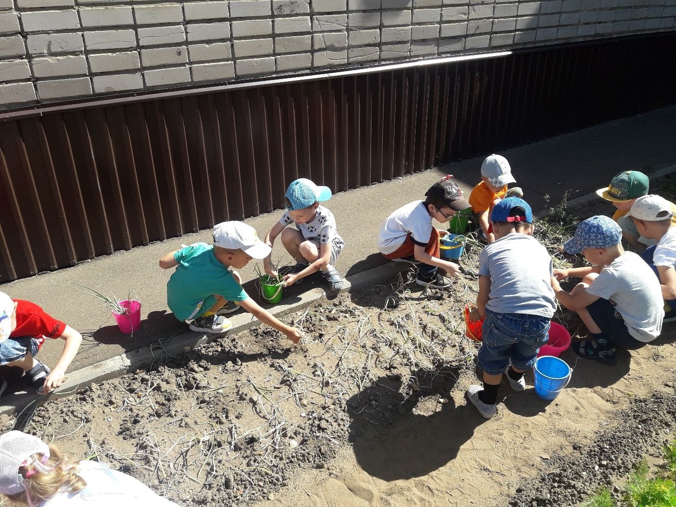 Воспитанники детского сада «Золотая рыбка» приступили к уборке урожая