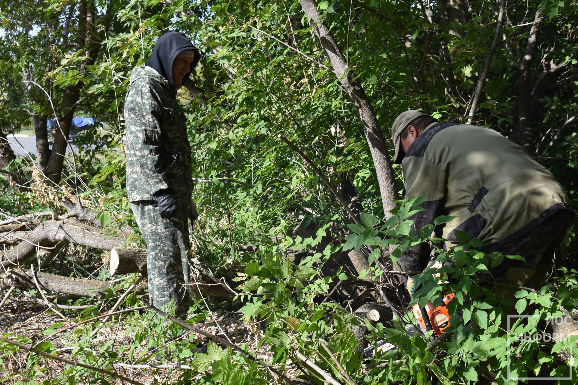 Камполянцы участвуют в очистке территории «Тропа здоровья»